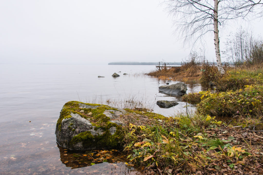 Foto: Magdalena Thorsbrink