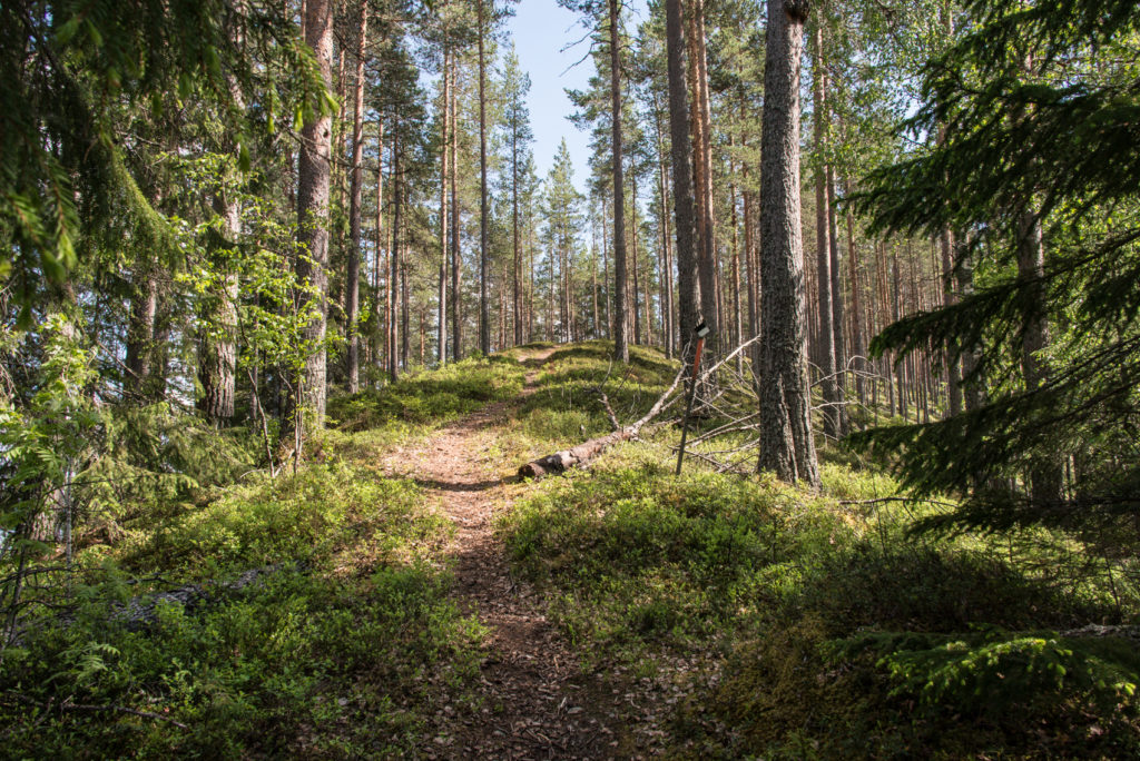 Foto: Magdalena Thorsbrink